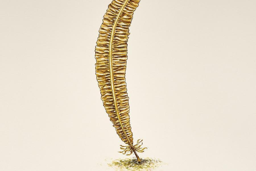 Miniature 1
